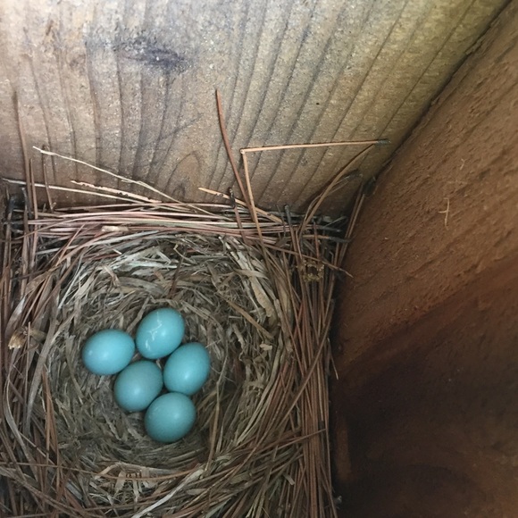 Meet your Posher, Kelly - Picture 1 of 1